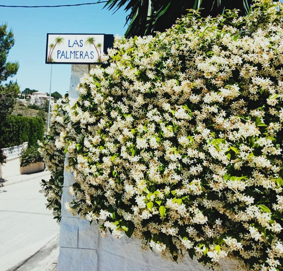 Las Palmeras Alberic Exteriér fotografie